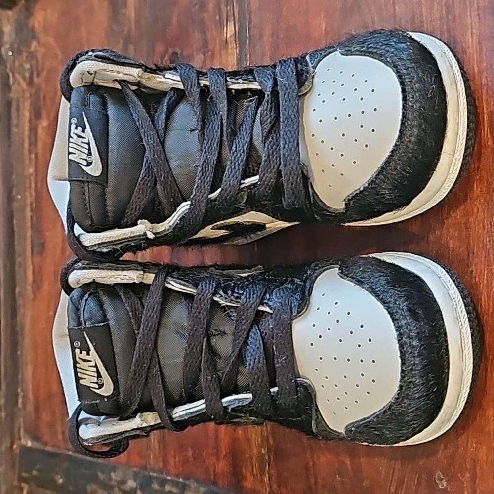 GENTLY WORN...Air Jordan 1 Retro High OG TD 'Twist 2.0